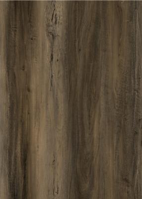 中国 4mm Stone Plastic Composite Flooring Eco Friendly Unilin Click Oak Burlywood Wood Grain GKBM DG-W50001B 販売のため