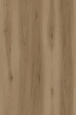 Chine Grain en bois composé en plastique GKBM DG-W50007B du plancher 6mm Key West Burlywood de pierre résistante d'éraflure à vendre