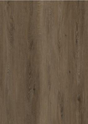 China Antibacterial 4mm SPC Flooring Living Room Recyclable Thermal Insulation Silver Oak GKBM DG-W50012B for sale