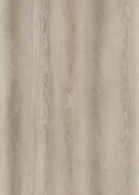 China Waterproof SPC Stone Plastic Composite Flooring Rovaniemi Oak GKBM DG-W50014B for sale
