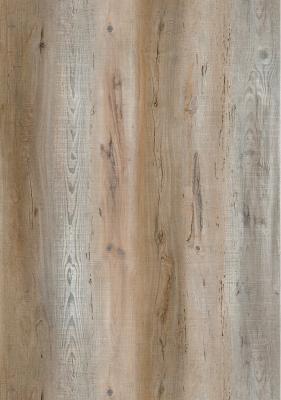 China Eco Friendly SPC Vinyl Flooring Waterproof Pine Oak Forest Wood Grain Unilin Click GKBM DD-W82156-1 for sale