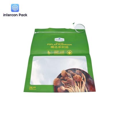 China Aluminum Plated Zipper Packaging Bags Upright For Mushroom Hazelnut Nut for sale