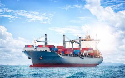 China Door To Door Sea Freight From China Marine FCL LCL Transportation for sale