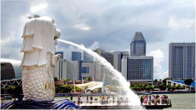 Chine DDP DDU chargement en conteneurs complets de fret maritime de Chine à Singapour à vendre