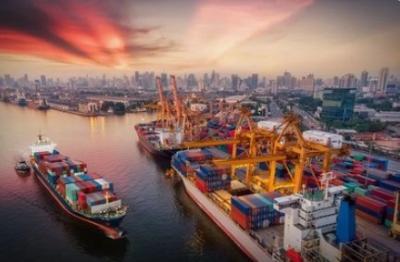Chine Transports maritimes internationaux de la Chine vers le monde entier à vendre
