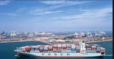 China Productos de maquinaria con caja de madera grande/paleta Transporte internacional de carga DDP a Dubai Irán por SEA FCL/LCL desde China en venta