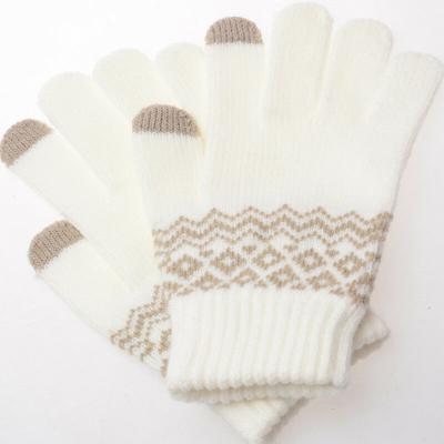 China Fashion Winter Touch Sensitive Gloves Warm Touch Screen Gloves For Smart Phone IPad for sale