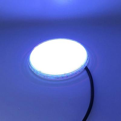 China Expoxy Filled Cable 1.5m SMD2835 Resin Filled Pool Light for sale