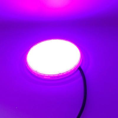 China Piscina 50000h 42.3mm Resin Filled Pool Light for sale