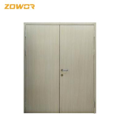 China BS Certified 40 mm FD30 Fire Door For Interior & Exterior Use for sale