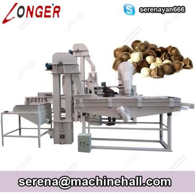 China High Capacity Moringa Seed / Pine Nut Shelling and Peeling Machine Product Line for sale