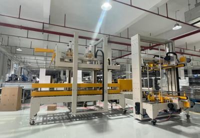 China High Accuracy Side Sealing Packing Machine Automatic Carton Packing Machine for sale