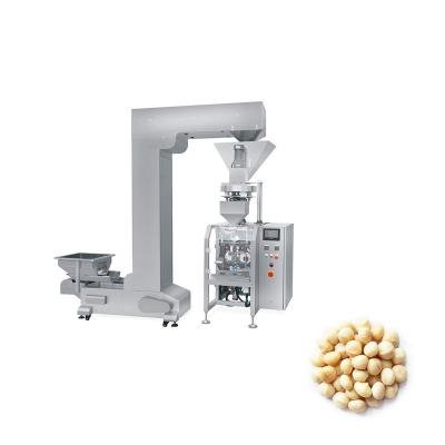 China Stainless Steel Nut Packaging Machine With 500kg Capacity For Seed Processing for sale