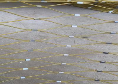 中国 緑植物の上昇のための1.5mm SUS316Lのステンレス鋼 ワイヤー ロープの網 販売のため