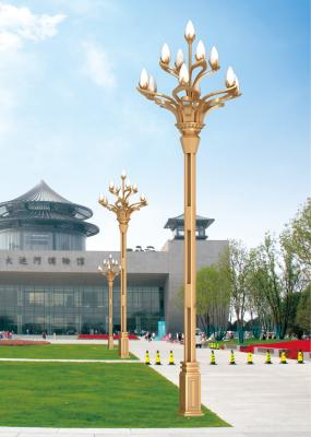 中国 装飾的なLEDポーランド人の街灯4500K 160lm/W 100-265V 販売のため