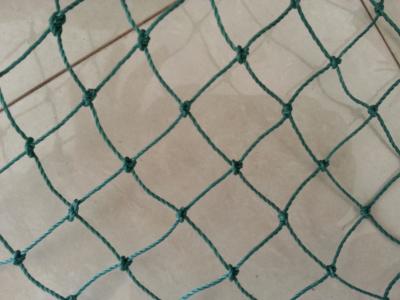 China Twisted Polyethylene Netting PE Net 20mm-1000mm commercial fishing for sale