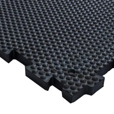 China Noise Insulating Horse Rubber Mat 20mm Thickness NR Material for sale