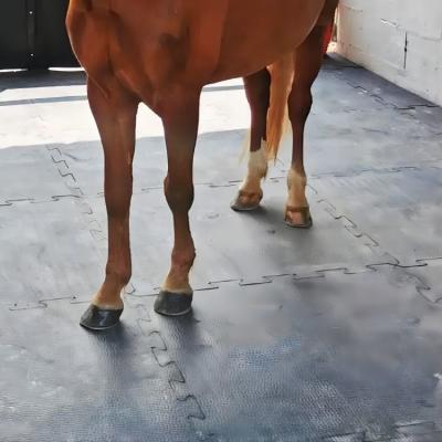 Chine Eva Bottom 10x12 Mats For Horse Stalls en caoutchouc de verrouillage à vendre