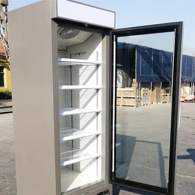 China Commercial Upright Glass Door Freezer Single Door Beverage Cooler 220V 50H for sale