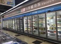 Chine Carel Thermostat Commercial Upright Freezer pour les aliments surgelés à vendre