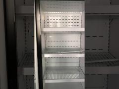 Carel Thermostat Commercial Upright Freezer For Frozen Food