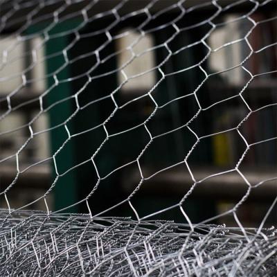 China Q235 HDG Metal Chicken Wire Garden Fence BWG25 Straight Twisted for sale