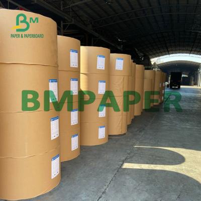 China 100gsm 120gsm Cup Stock Paper Roll White Colour For Cone Cup for sale