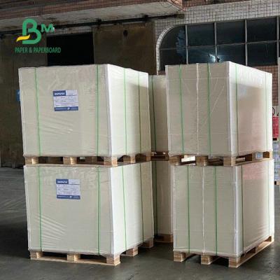 China 30 X 40 Inches Freezer Paper Roll 12pt 14pt 18pt White C1S Artboard  For Packing Food for sale