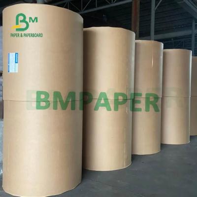 China White Cup Paper Rolls 230g 250g 270g  + 15g 20g PE Laminated One side for sale