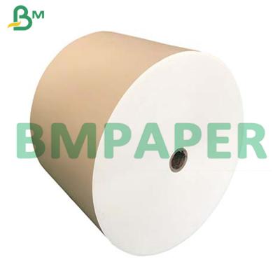 China 210g + 15g PE Coated Food Grade Noodle Bowl Cup Stock Paper Board In Jumbo Roll for sale
