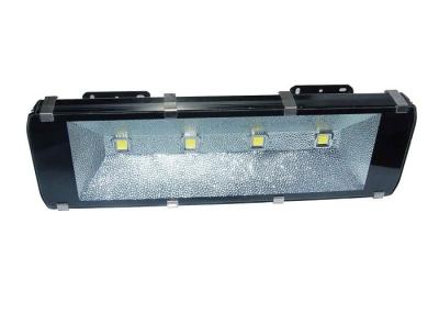 China Brightest 400W Outdoor LED Flood Lights Eco-Friendly Landscape Lighting for sale