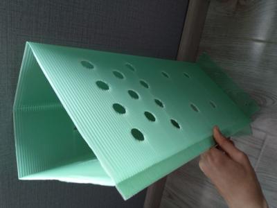 China PP corrugated plastic plant protector for sale