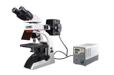 China Perfect Image Fluorescent Science Microscope Professional Comparison Microscope for sale