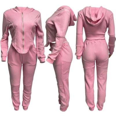 China Anti Pilling Ladies Jogging Suits Casual Fashion Hoodied Zipper Top And Pants For Fall for sale