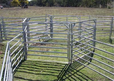 China El panel galvanizado resistente del ganado del ganado utilizó los paneles del corral en venta