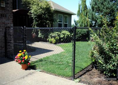 China green wire mesh/hurricane fence PVC PE coated Chain Wire Hurricane Fence for sale