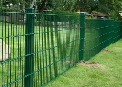 China Twin Wire Mesh Fence for sale