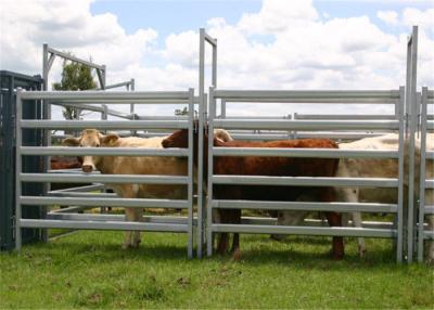 Cina Cattle yard panels for sale in vendita