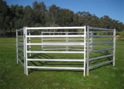 Chine Horse Fence Panels à vendre