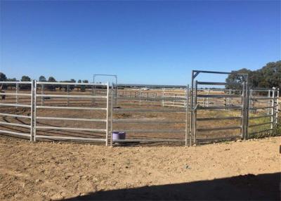 Κίνα cattle panels Adelaide προς πώληση