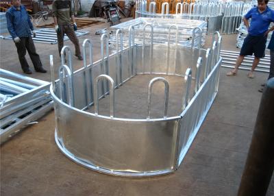 China cattle panel fence for sale