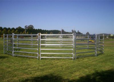 China cattle panel for sale