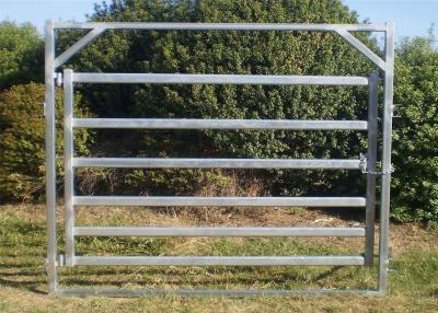 Cina cattle fencing panels in vendita