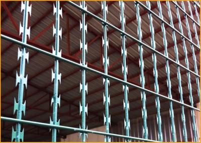 China razor wire mesh fence for sale