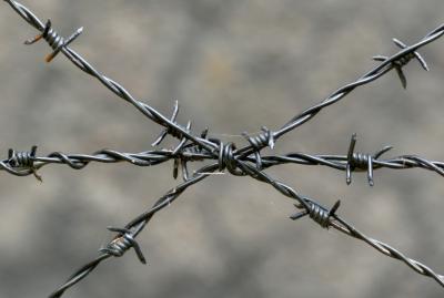 China Single Twist Barbed Wire for sale