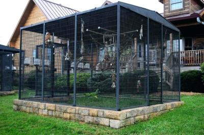 Chine welded mesh bird aviary à vendre
