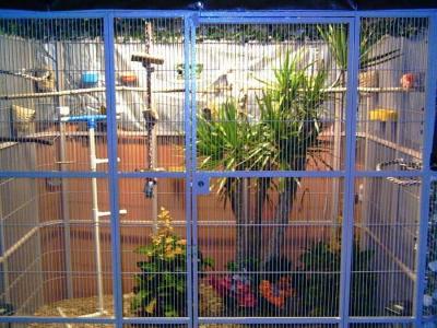 China zoo aviary mesh weld mesh and flexible rope mesh for sale