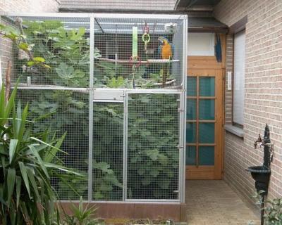 중국 aviary mesh for Medium Pet Birds 판매용