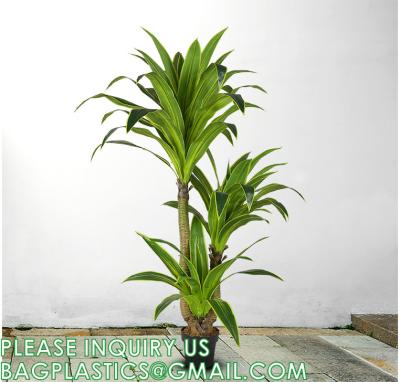 China Dracaena Silk Plant Artificial 5ft Faux House Plants Evergreen Dracaena Marginata Fake Yucca Palm Trees in Pot for sale