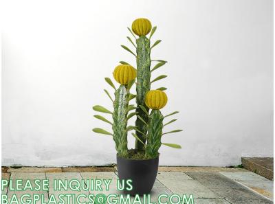 China Artificial Succulent Plants - Realistic Artificial Flowering Cactus, Fake Succulent Plant Decor for Home Office for sale